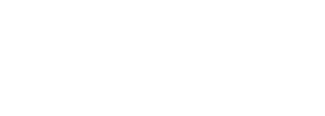 Im Lebensfluss Logo